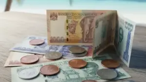 Jaka Waluta Na Zanzibarze? jaka waluta na zanzibarze