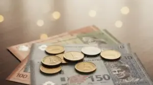 Rm Co To Za Waluta? rm co to za waluta