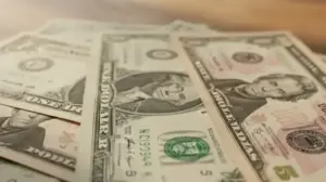 usd co to za waluta